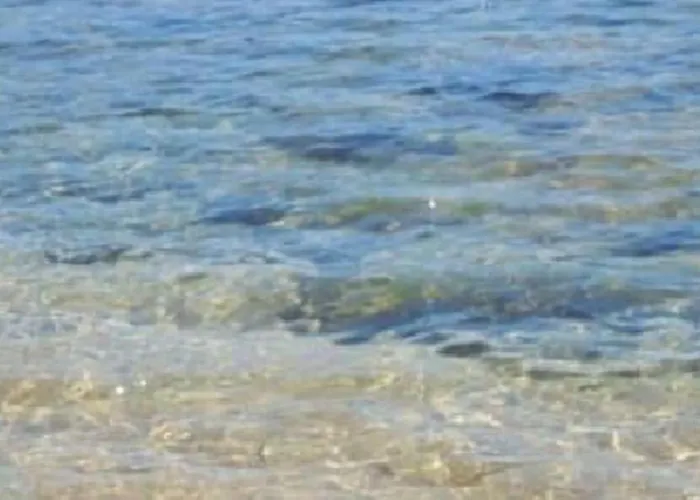 F2 Pieds Dans L'eau Casaglione